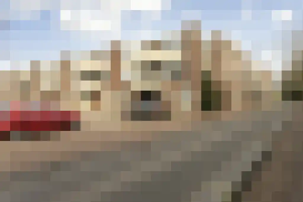 Uniestede 1 Roosendaal foto 2