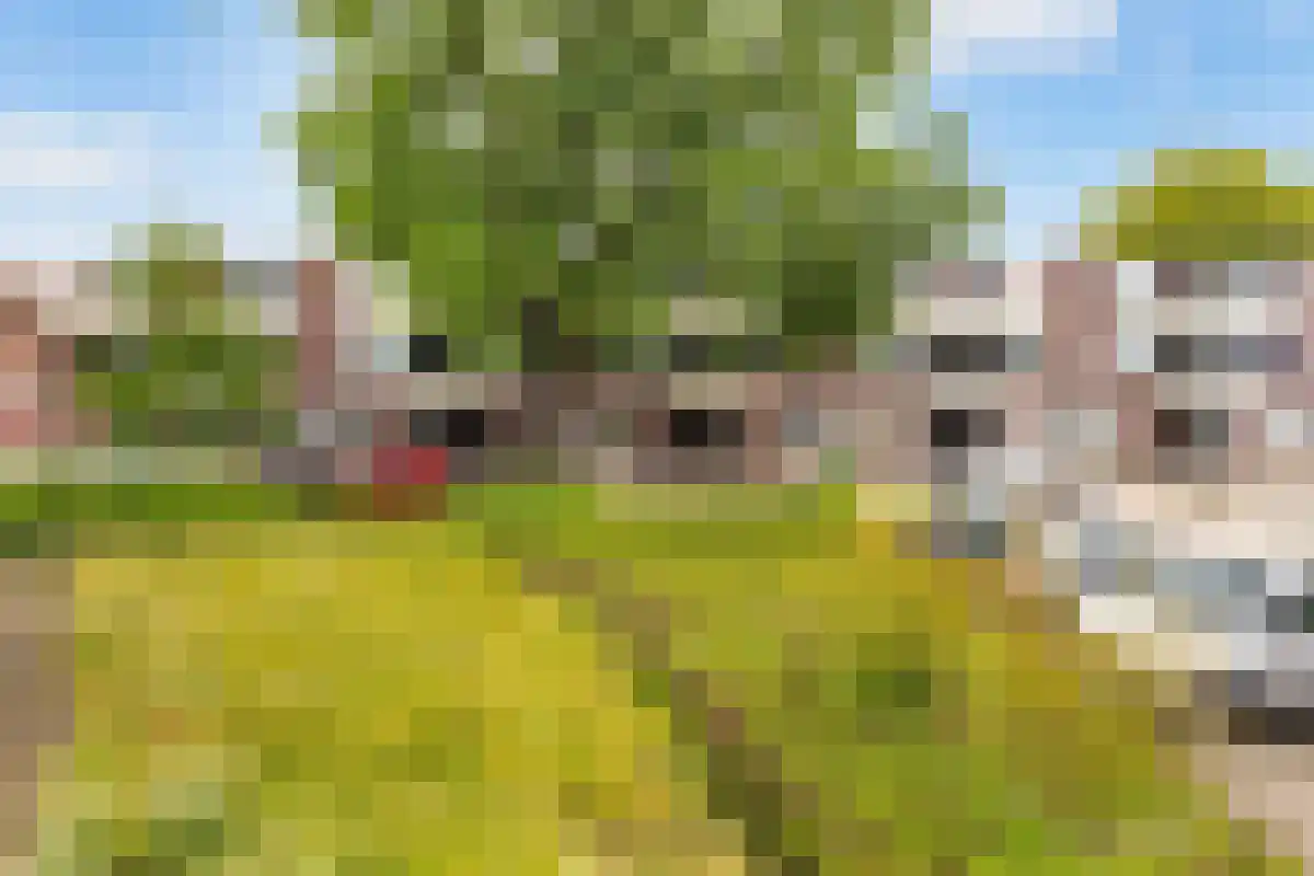 Uniestede 14 Roosendaal thumbnail 4