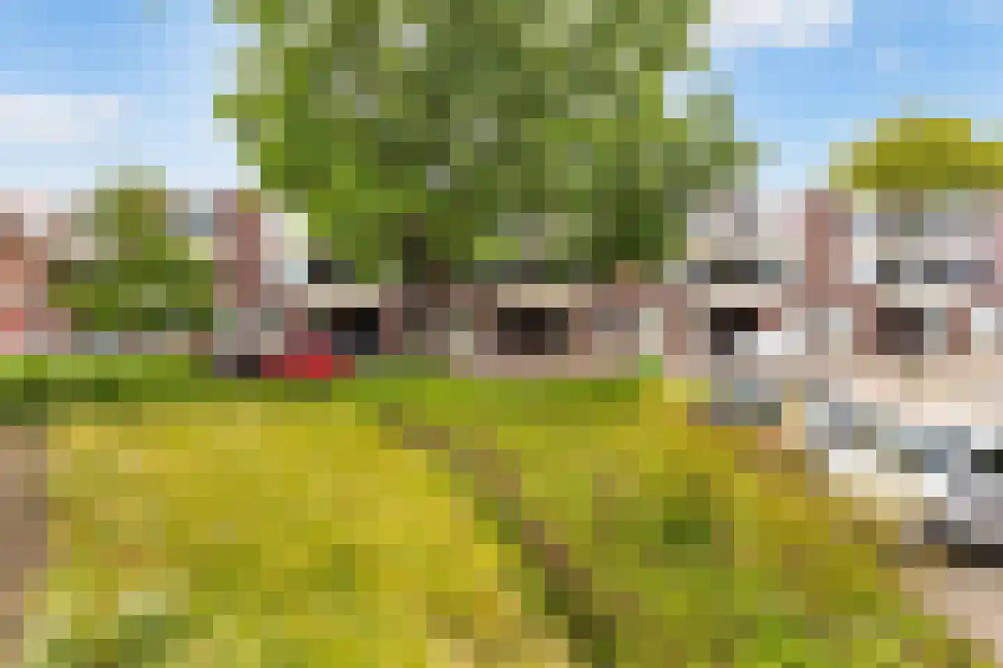 Uniestede 17 Roosendaal thumbnail 17
