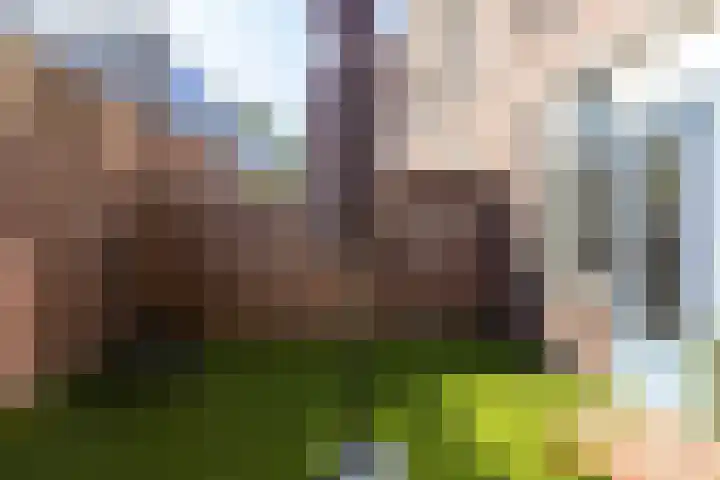 Uniestede 26 Roosendaal thumbnail 21