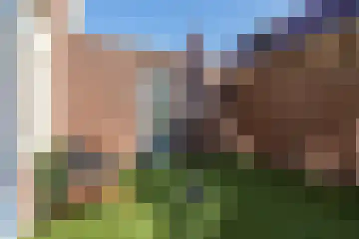 Uniestede 26 Roosendaal thumbnail 22