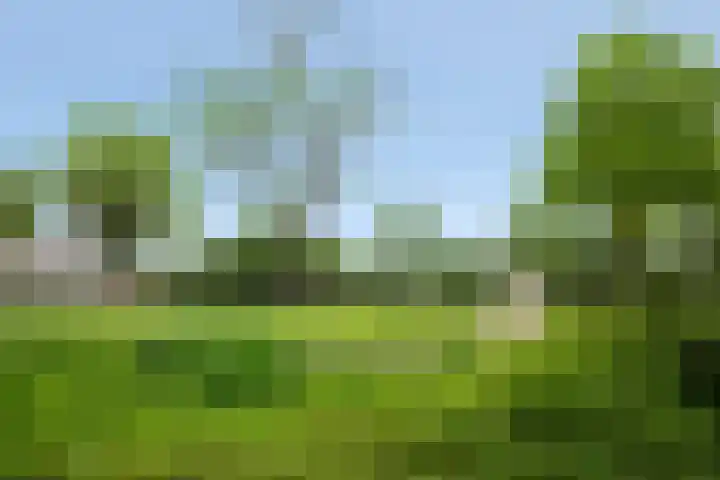 Uniestede 26 Roosendaal thumbnail 25