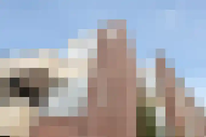 Uniestede 26 Roosendaal thumbnail 29