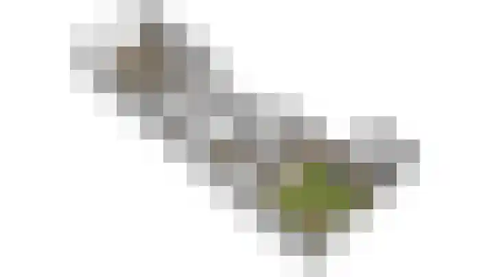 Uniestede 26 Roosendaal thumbnail 31