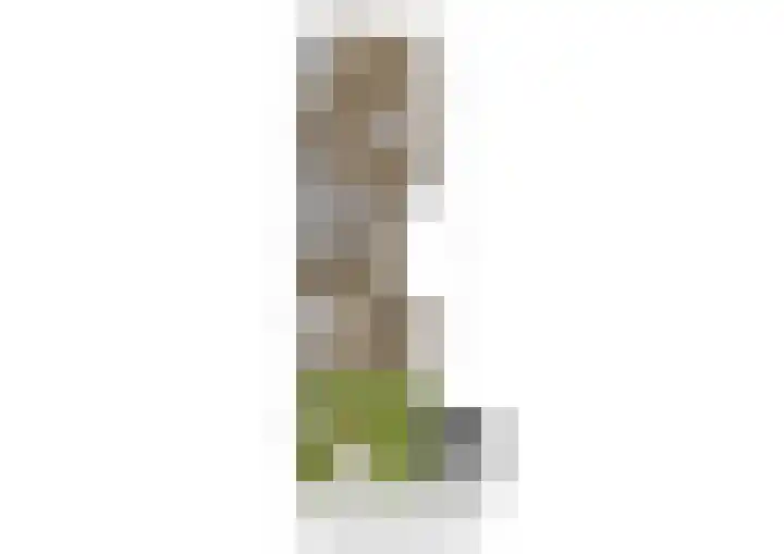 Uniestede 26 Roosendaal thumbnail 33