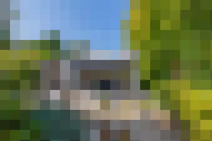 Unikenkade 43 Stadskanaal thumbnail 33