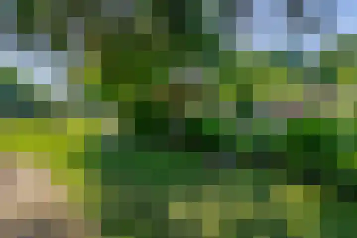 Unikenkade 43 Stadskanaal thumbnail 36