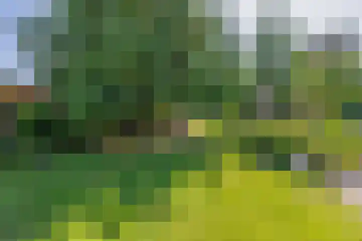 Unikenkade 43 Stadskanaal thumbnail 37