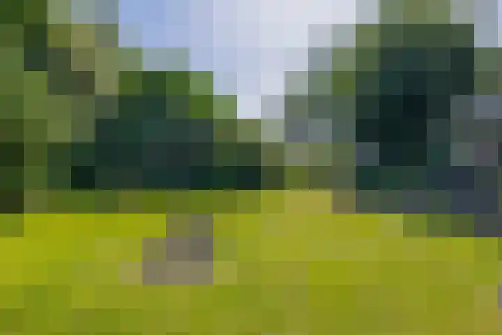 Unikenkade 43 Stadskanaal thumbnail 38