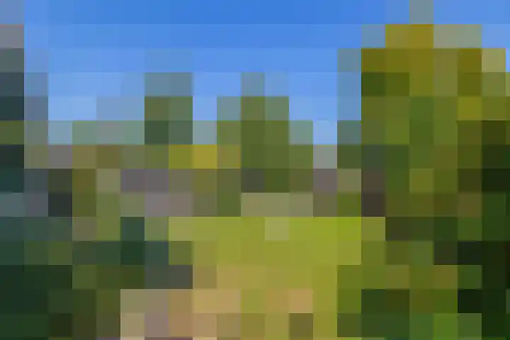Unikenkade 43 Stadskanaal thumbnail 40
