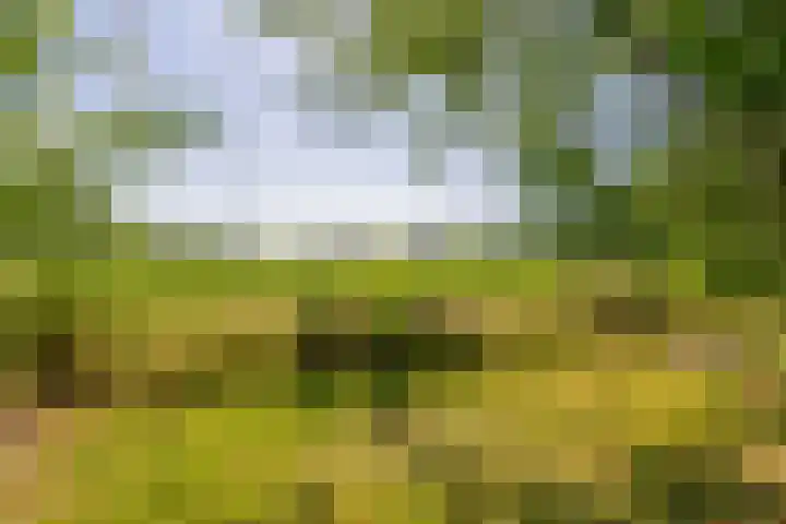 Unikenkade 43 Stadskanaal thumbnail 41