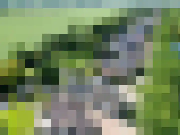 Unikenkade 43 Stadskanaal thumbnail 44