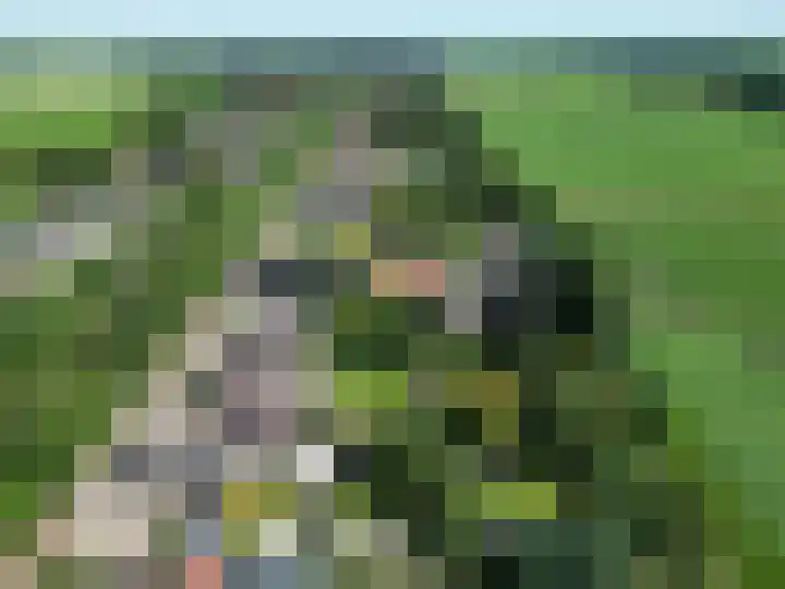 Unikenkade 43 Stadskanaal thumbnail 45