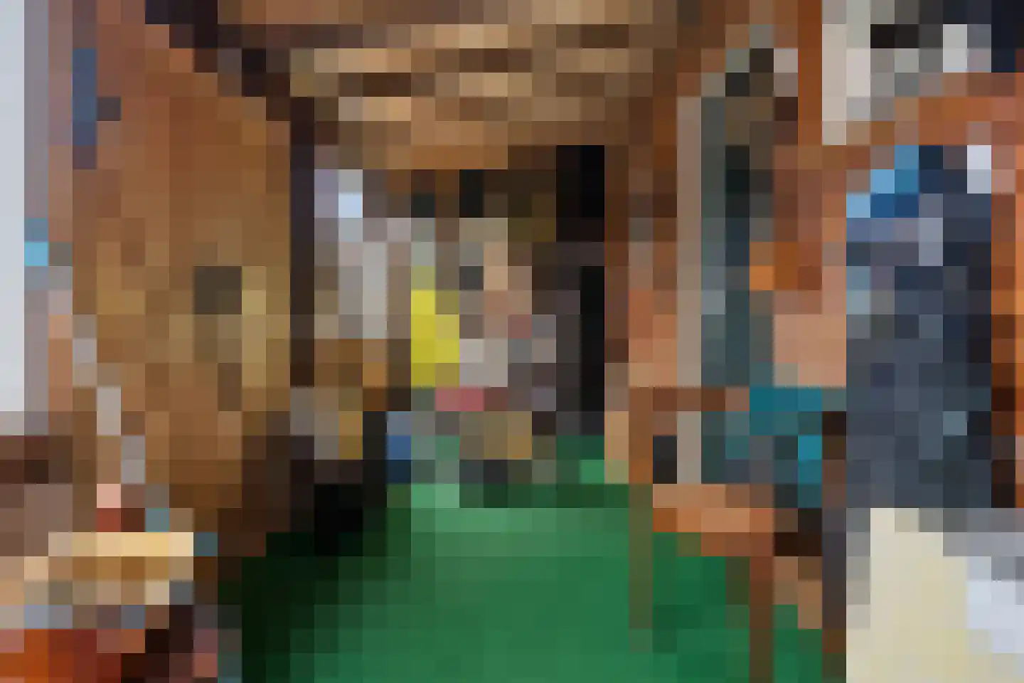 Unikenstraat 34 Stadskanaal thumbnail 32