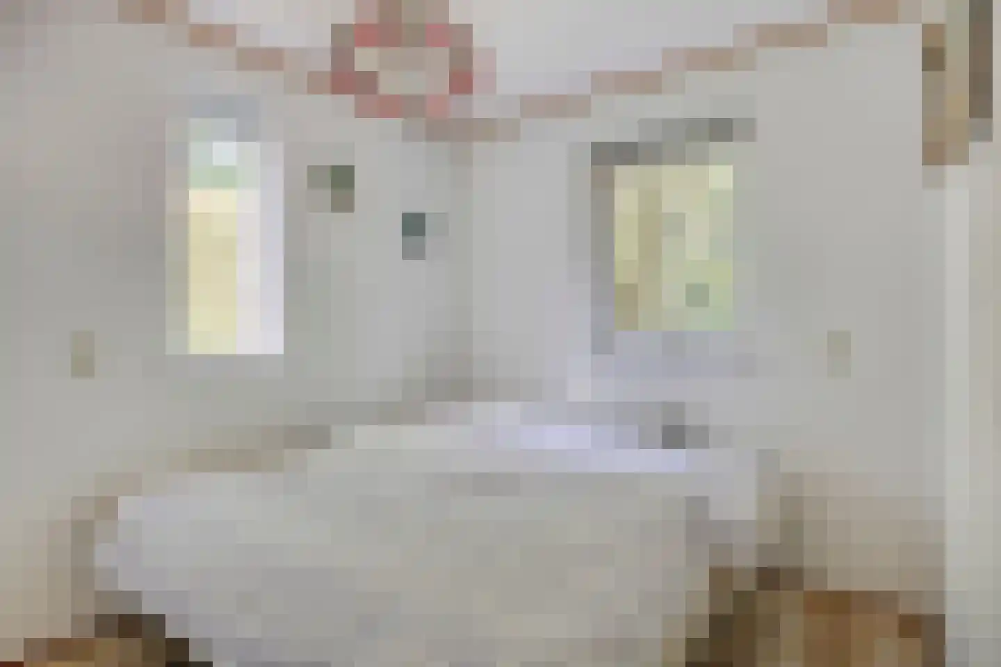 Unio 24 Brouwershaven thumbnail 10