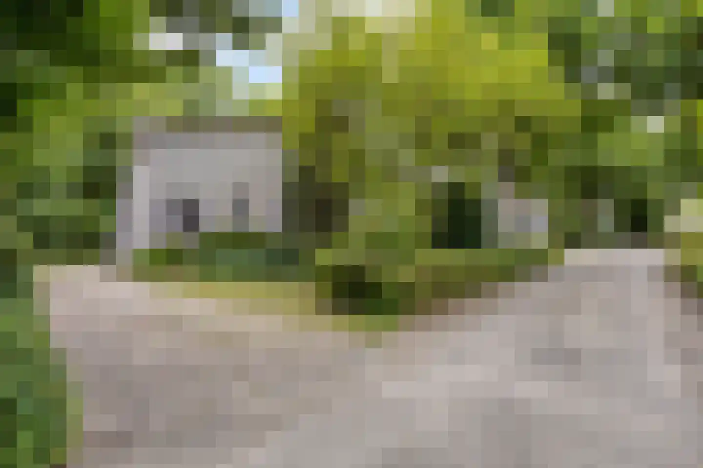 Unio 24 Brouwershaven thumbnail 21
