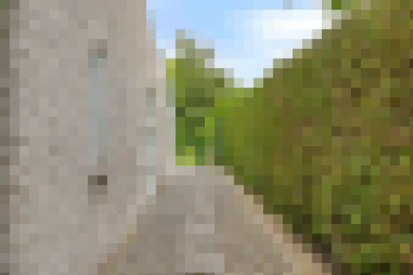Unio 24 Brouwershaven thumbnail 24