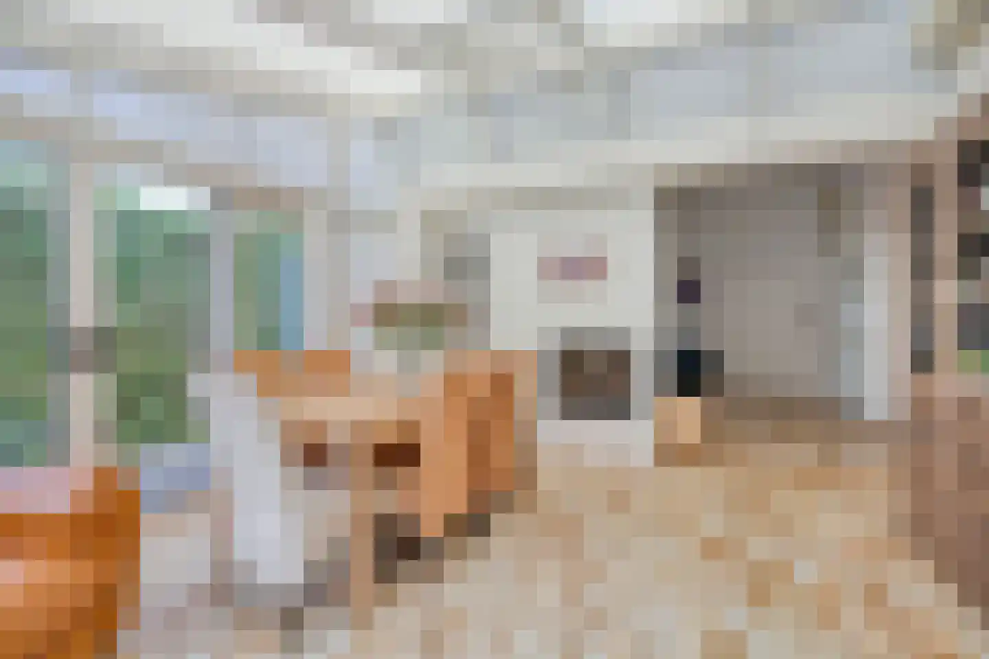 Unio 24 Brouwershaven thumbnail 5
