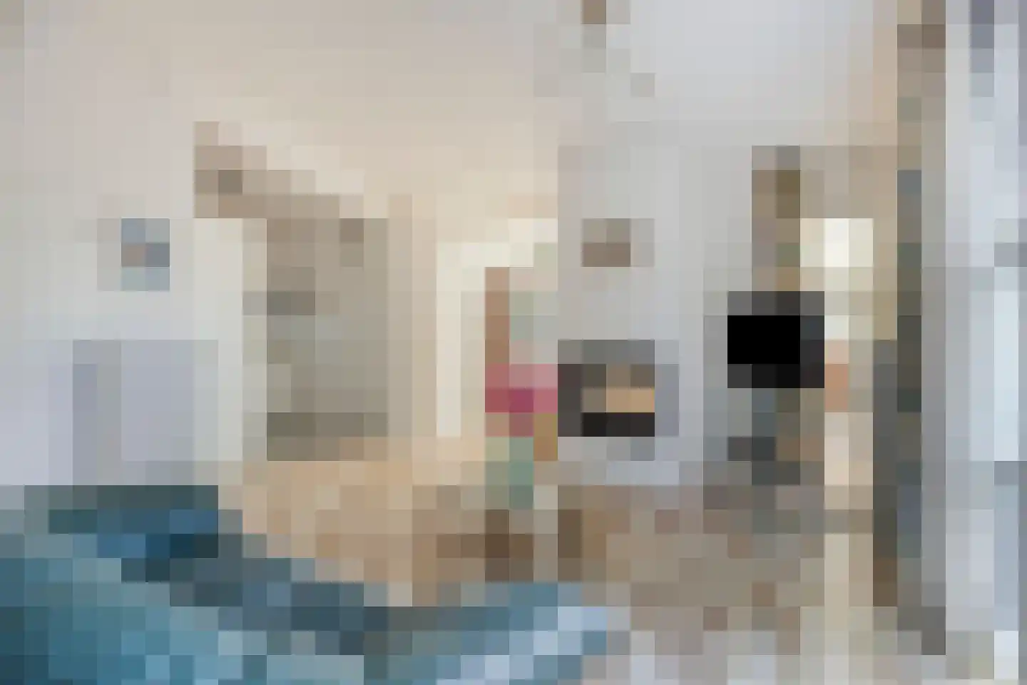Unio 24 Brouwershaven thumbnail 8