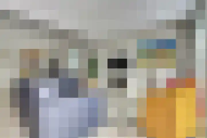 Unio 27 Brouwershaven thumbnail 12