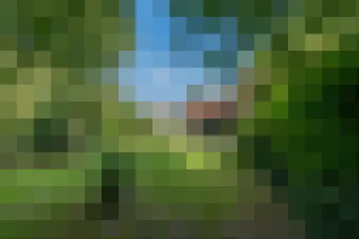 Unio 27 Brouwershaven thumbnail 5
