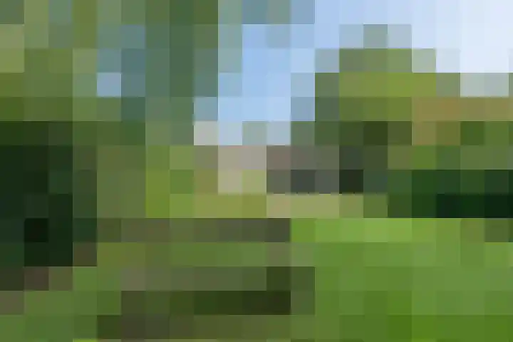 Unio 27 Brouwershaven thumbnail 6