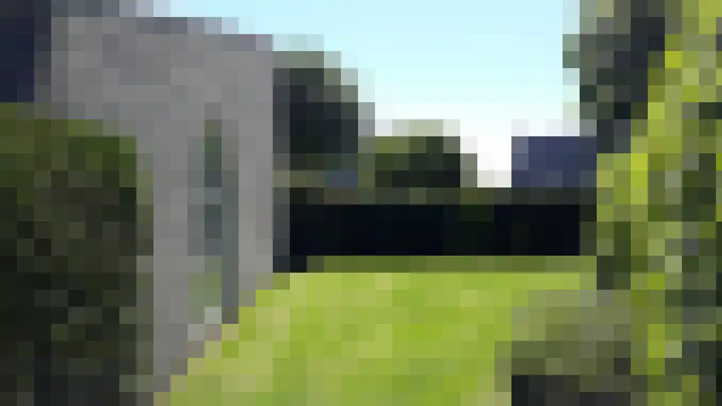 Unio 30 Brouwershaven thumbnail 20
