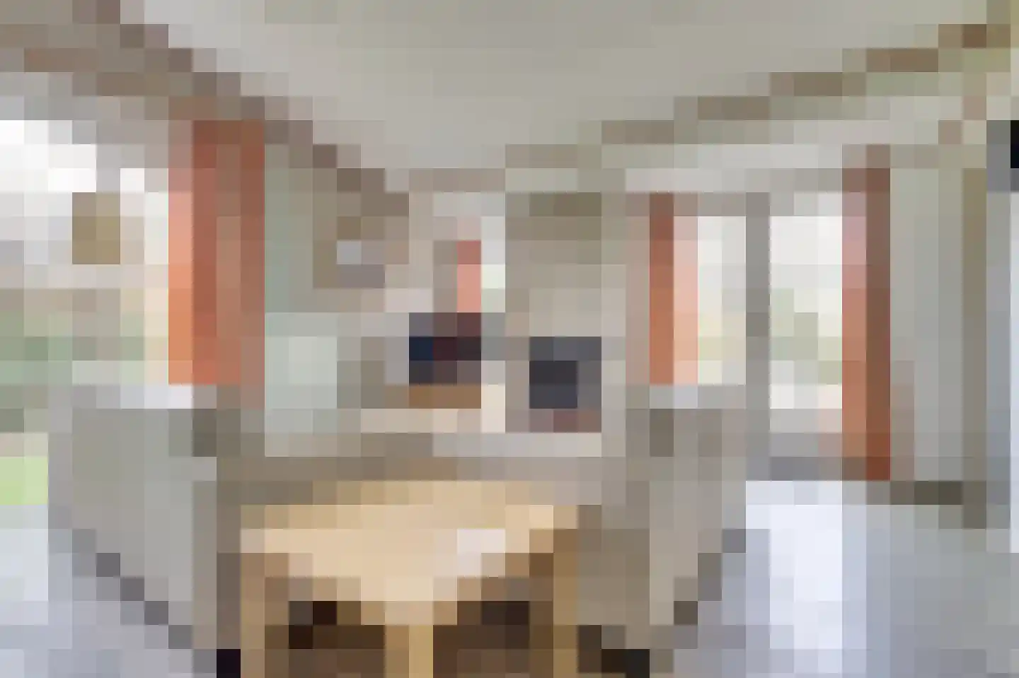 Unio 30 Brouwershaven thumbnail 4