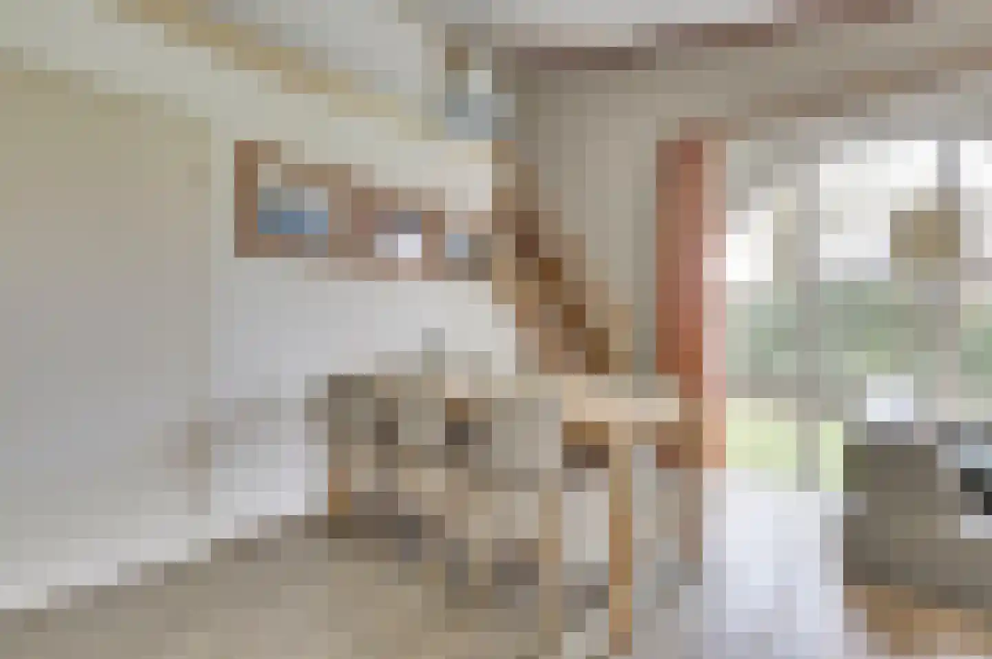 Unio 30 Brouwershaven thumbnail 7