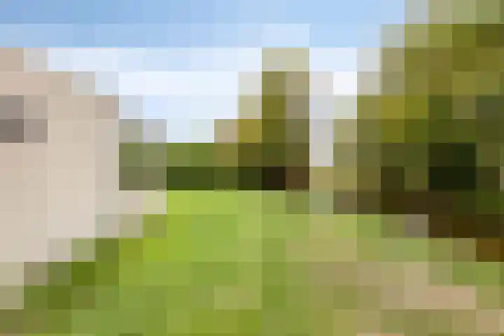 Unio 33 Brouwershaven thumbnail 13