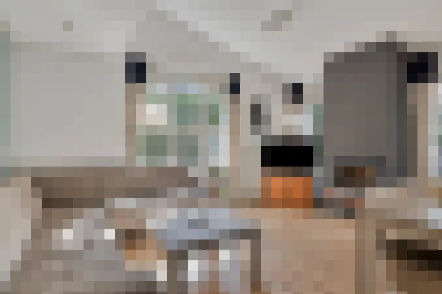 Unio 46 Brouwershaven thumbnail 10