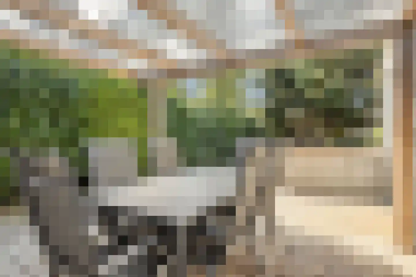 Unio 46 Brouwershaven thumbnail 15