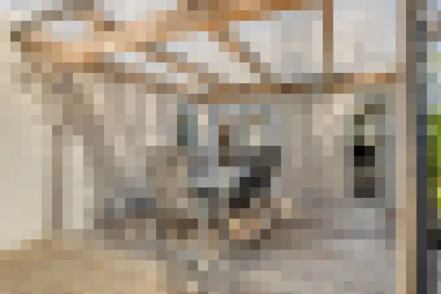Unio 46 Brouwershaven thumbnail 6