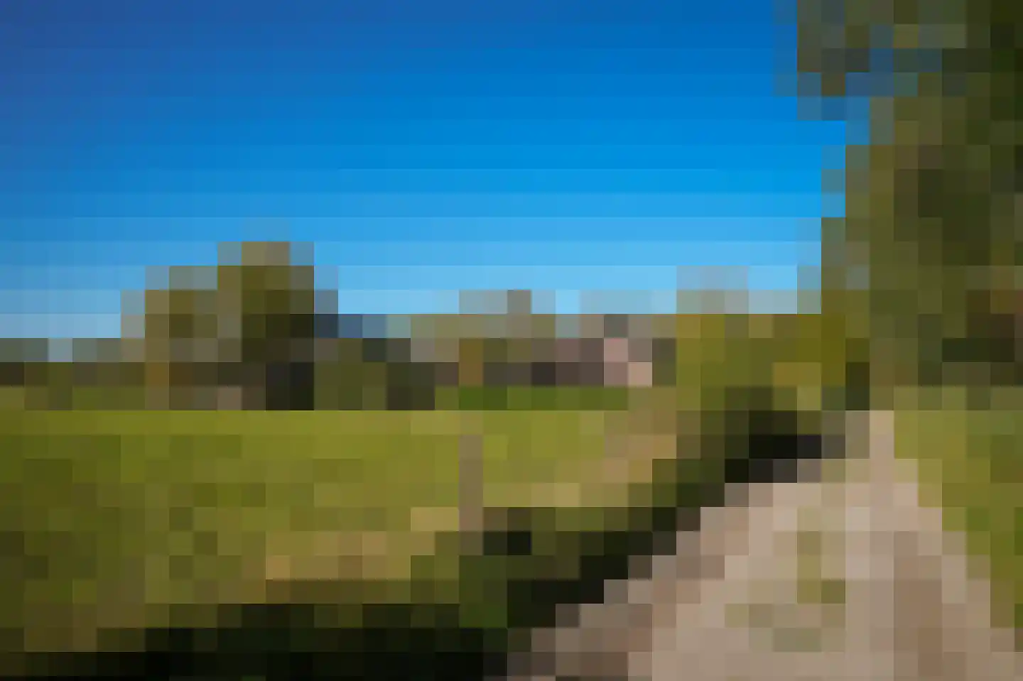 Universiteitsweg 10 De Bilt thumbnail 61