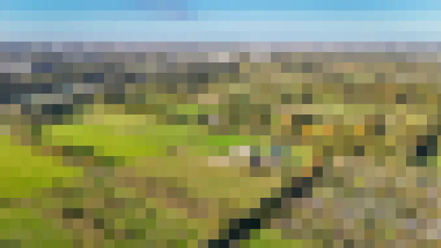 Universiteitsweg 10 De Bilt thumbnail 64