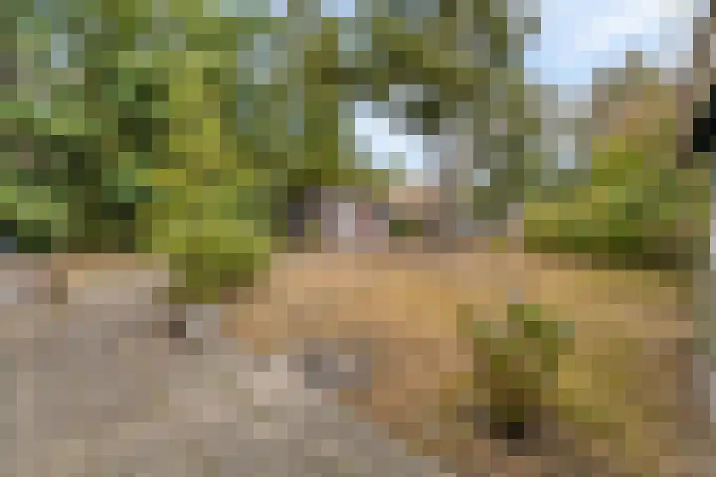 Universumlaan 13 Huis ter Heide thumbnail 31