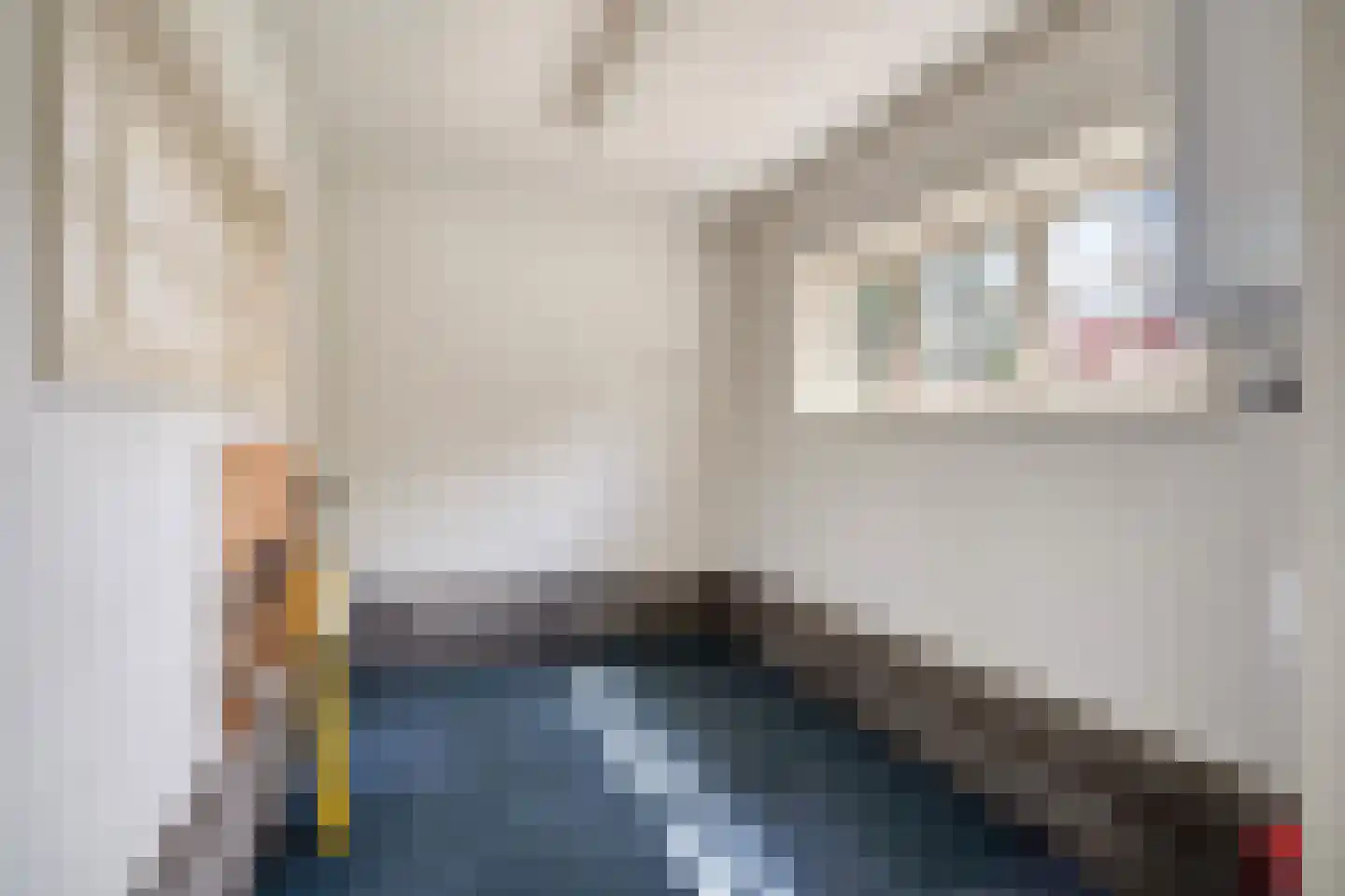 Universumlaan 13 Huis ter Heide thumbnail 38