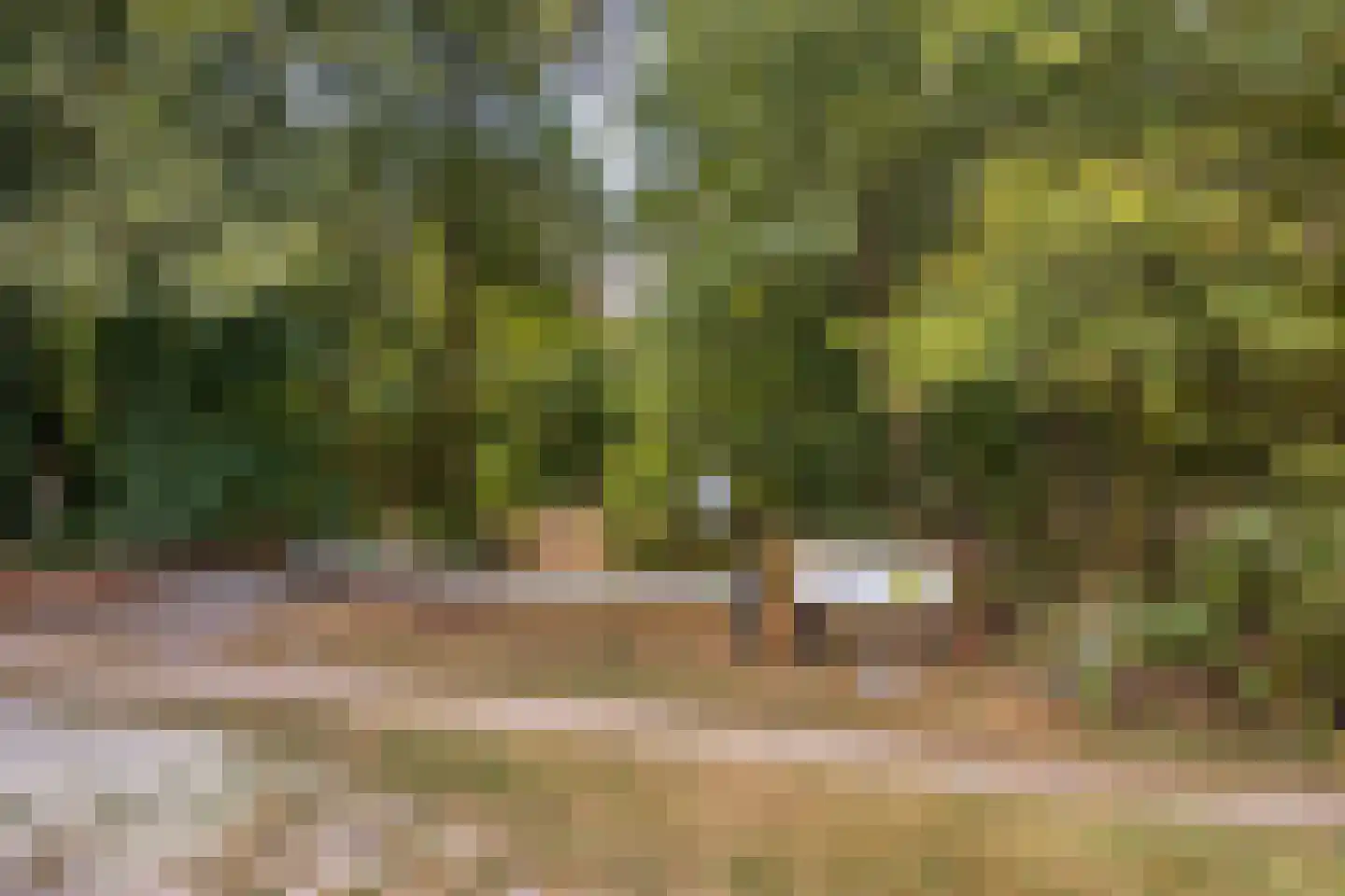 Universumlaan 13 Huis ter Heide thumbnail 54