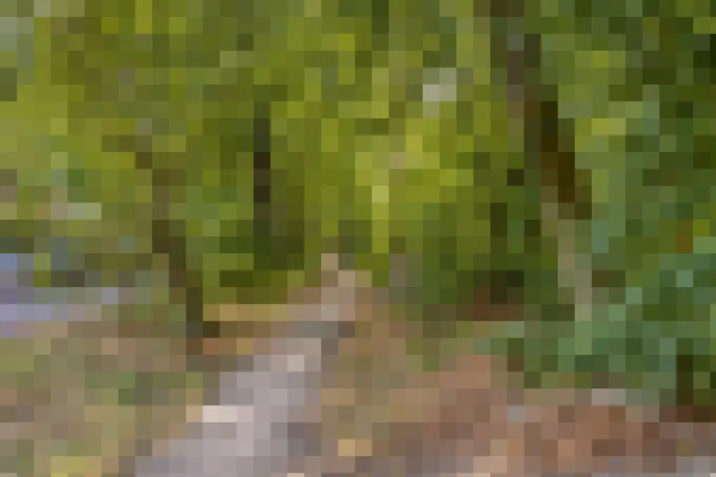 Universumlaan 13 Huis ter Heide thumbnail 55