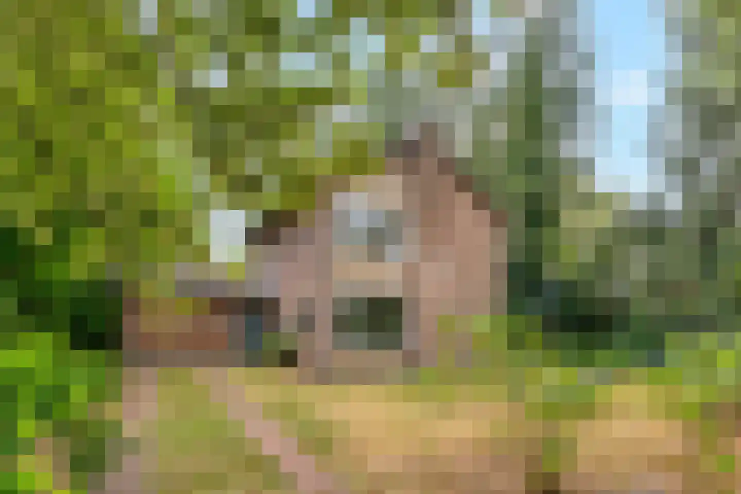 Universumlaan 5 Huis ter Heide thumbnail 4