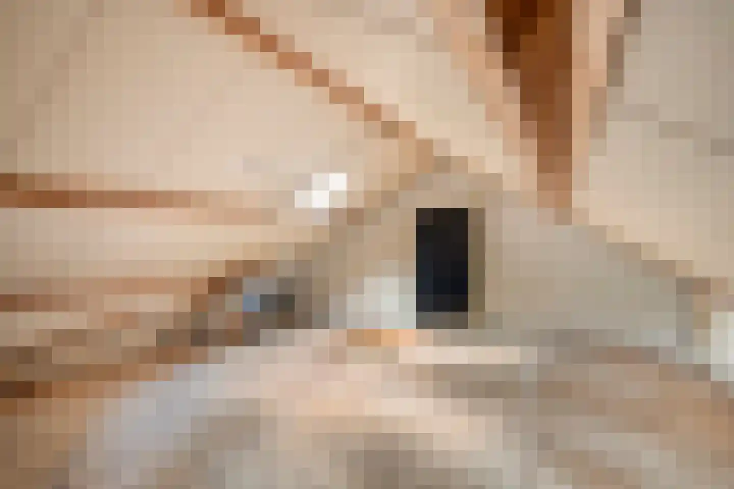 Universumlaan 5 Huis ter Heide thumbnail 40