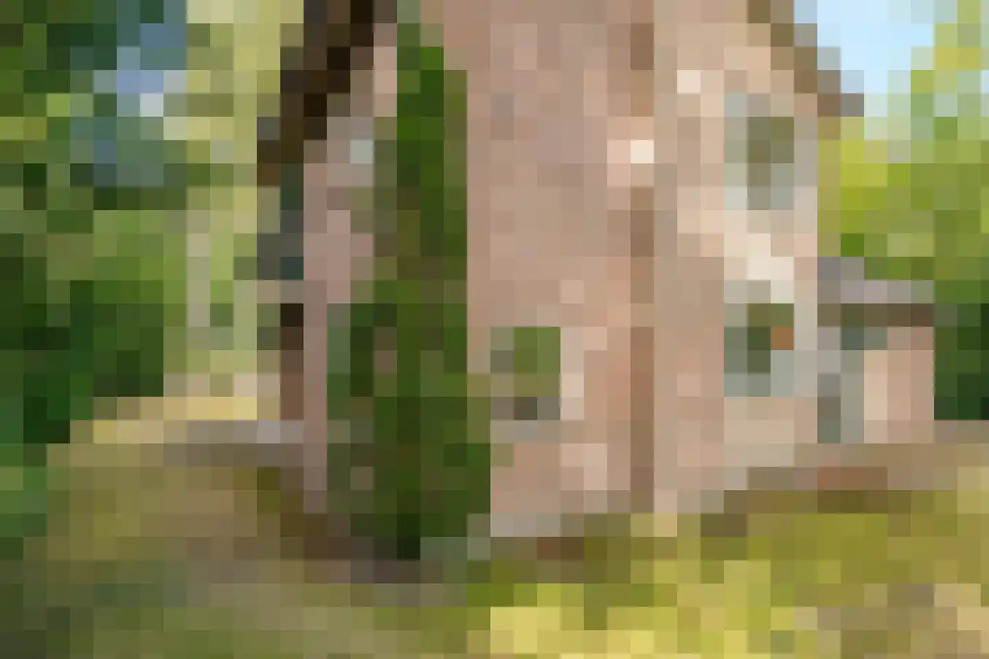 Universumlaan 5 Huis ter Heide thumbnail 44