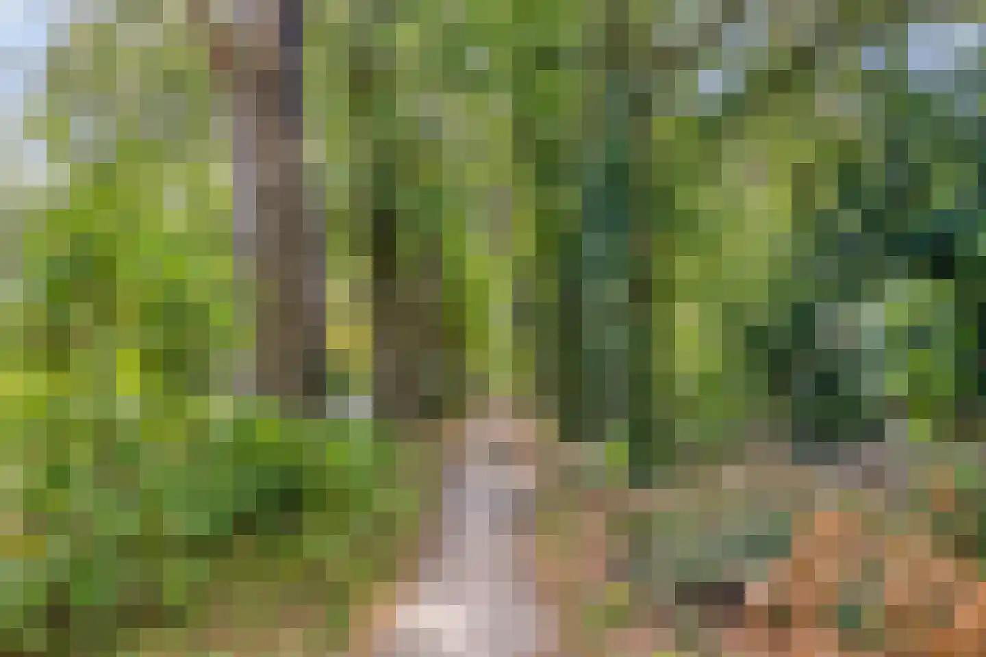 Universumlaan 5 Huis ter Heide thumbnail 48