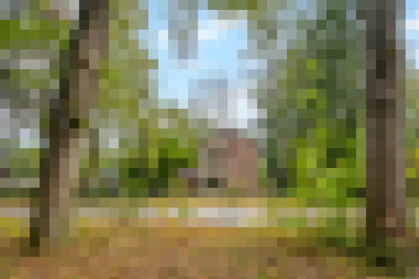 Universumlaan 5 Huis ter Heide thumbnail 5