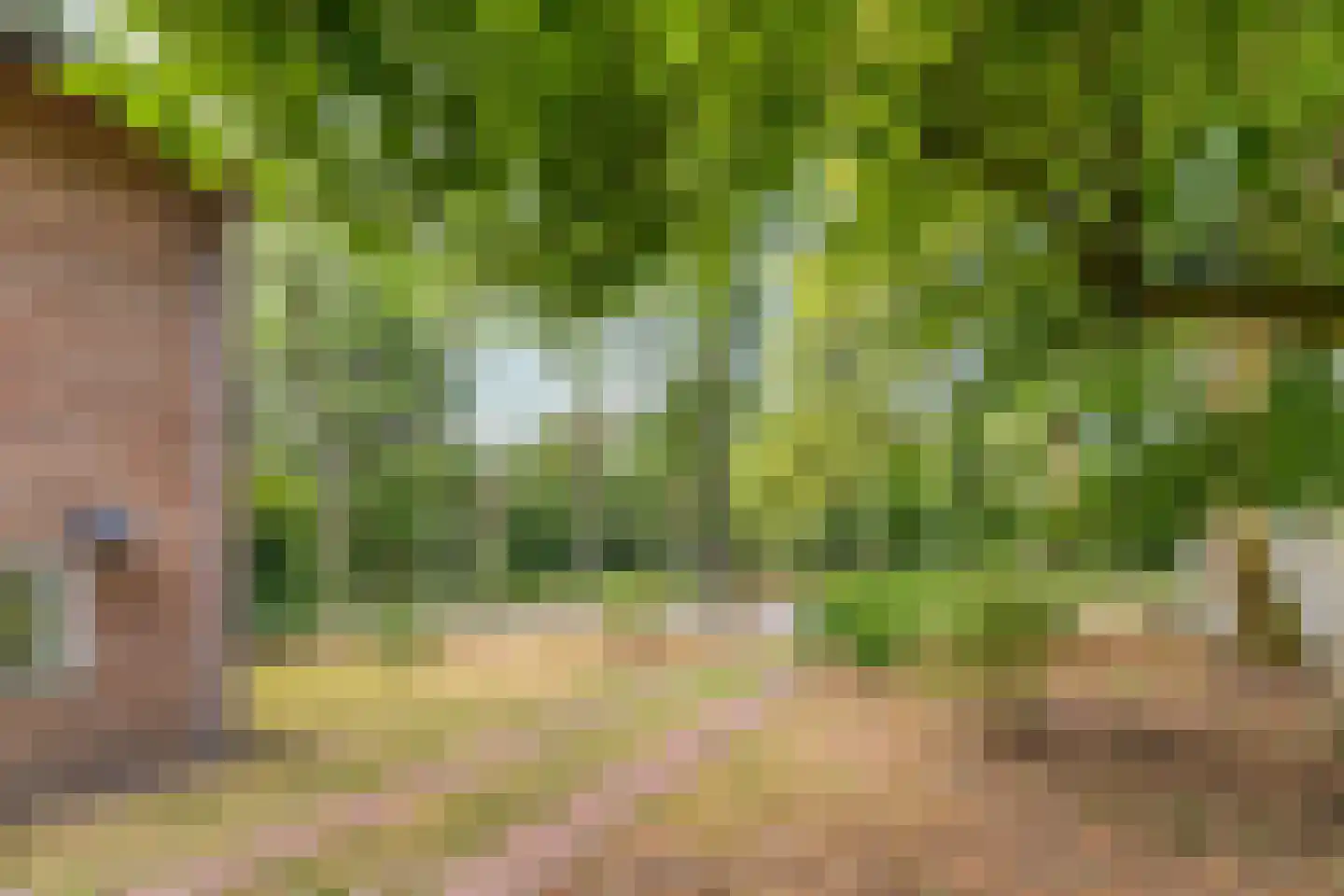 Universumlaan 5 Huis ter Heide thumbnail 7