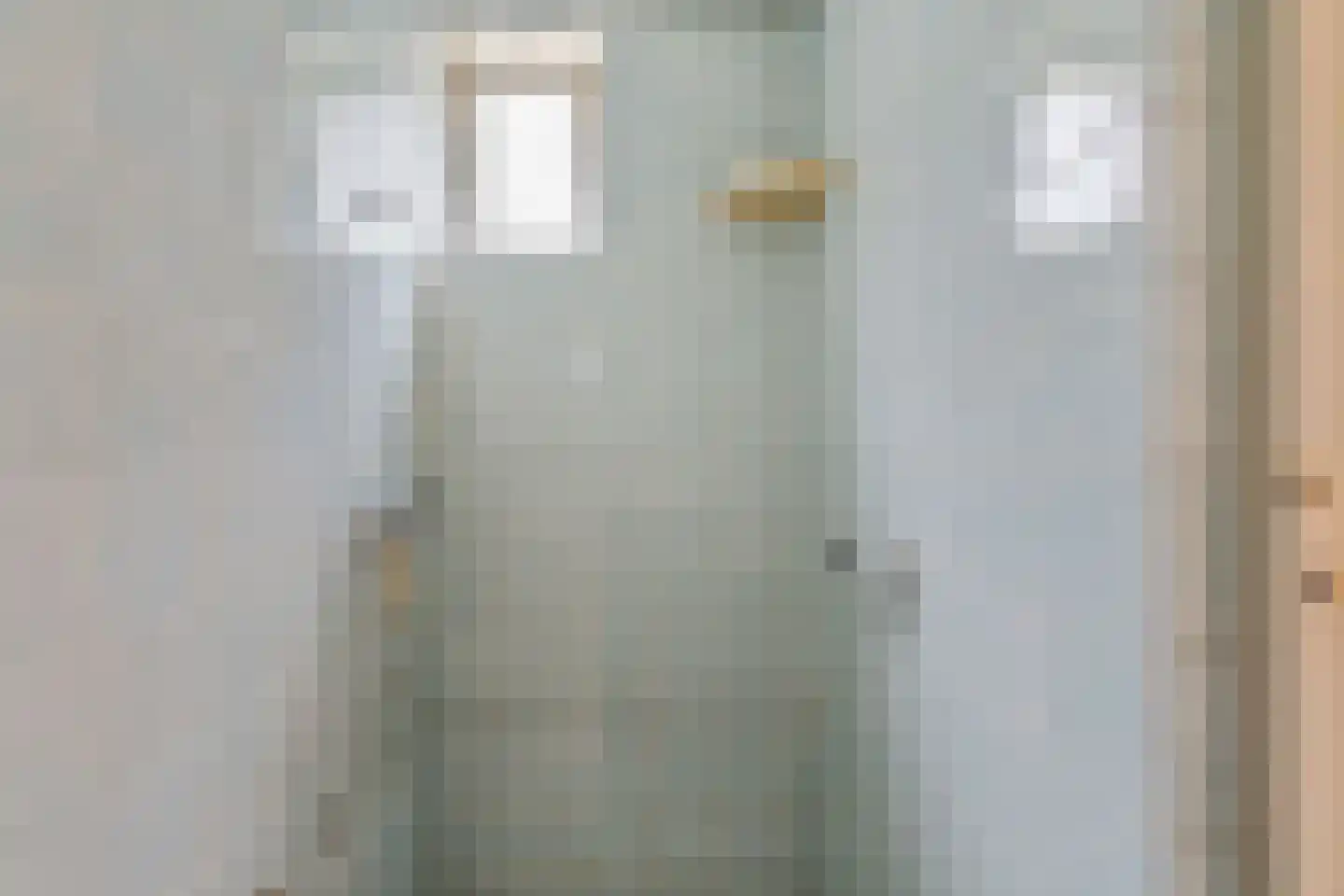 Unjerpad 15 Zwaag thumbnail 25
