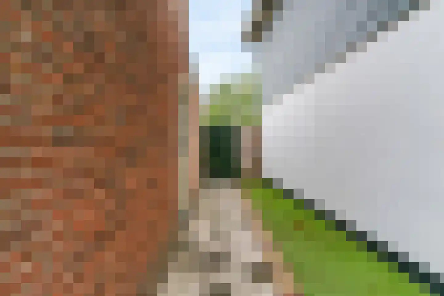 Unjerpad 15 Zwaag thumbnail 33