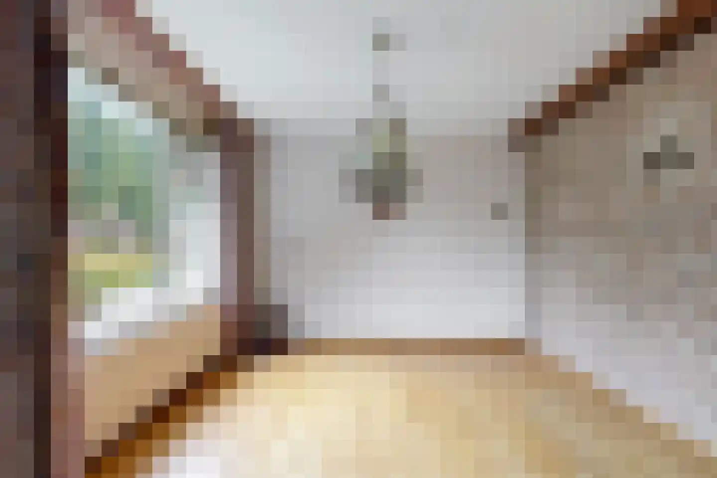 Unjerpad 15 Zwaag thumbnail 8