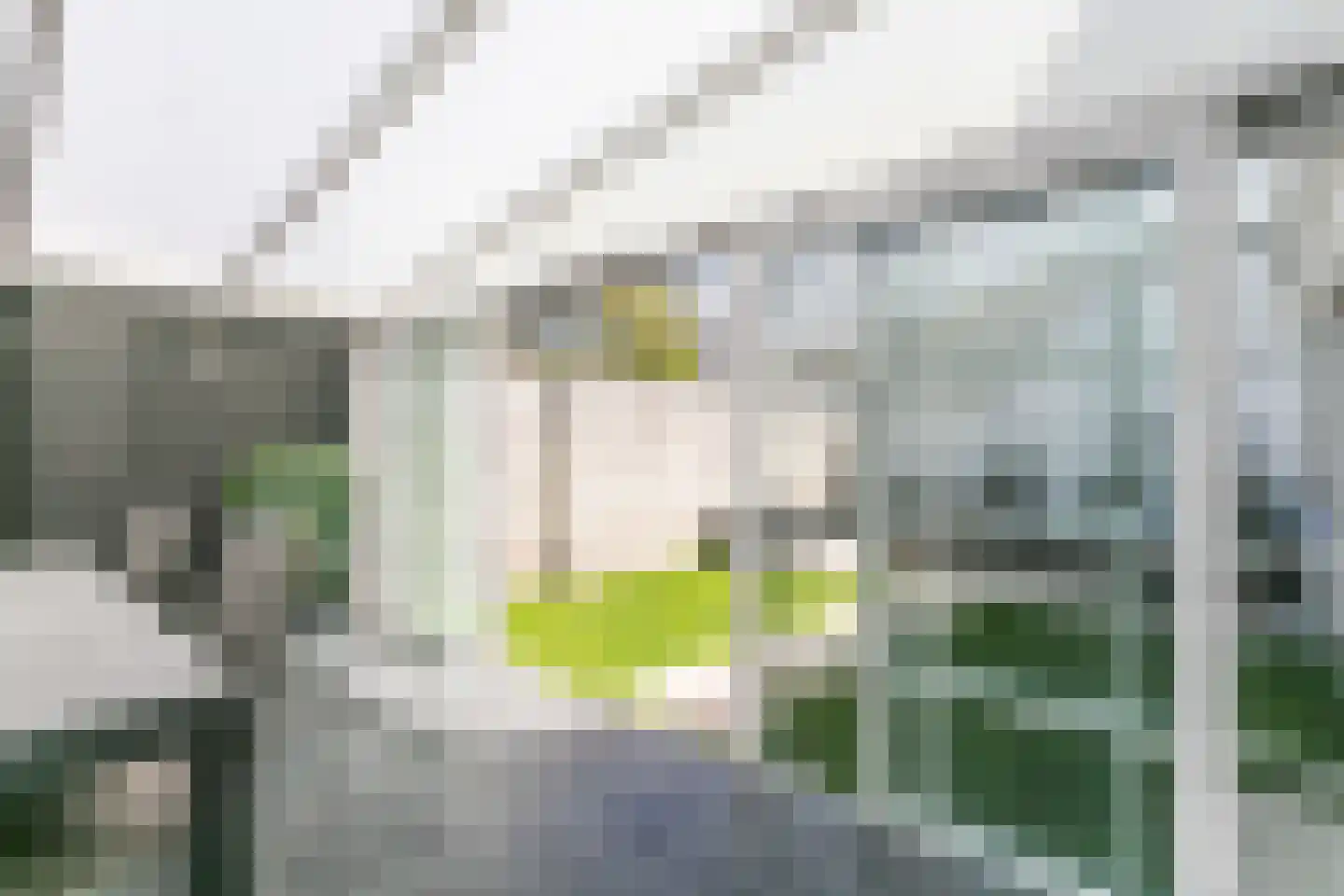 Unolaan 104 Heerlen thumbnail 35