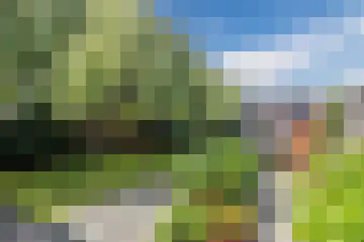 Unseltstraat 11 Valkenswaard thumbnail 25